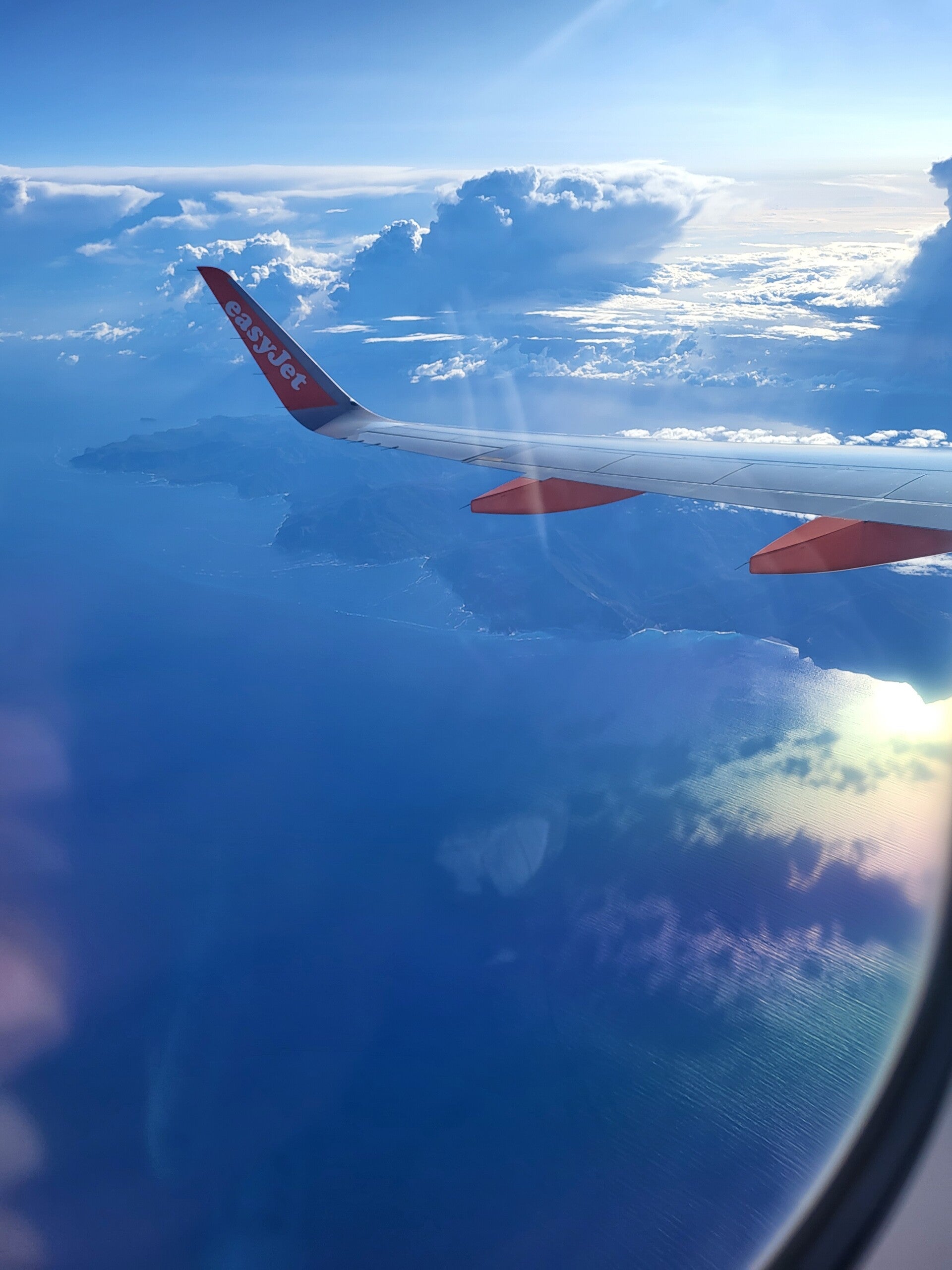 Destination vers le lien sacré que tu entretiens avec ton animal