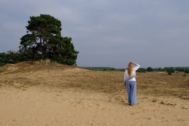 Mariëlle Postma, systemisch coach familieopstellingen voor zorgprofessionals, uitkijkend over een natuurgebied.