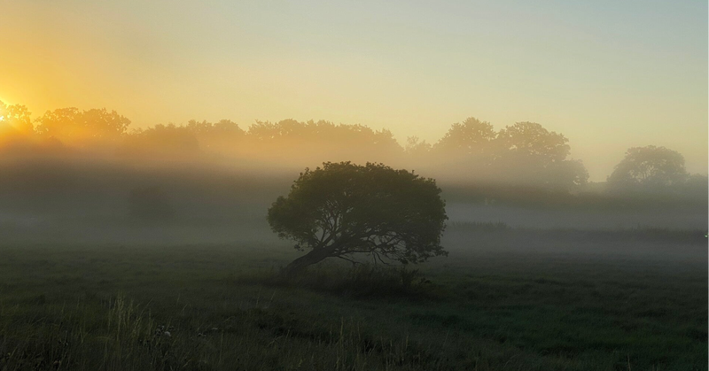 Wiesen bei Schmuggerow im Amt Anklam Land