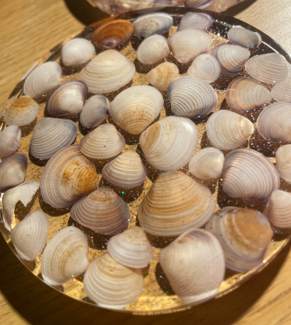 Schelp onderzetters
