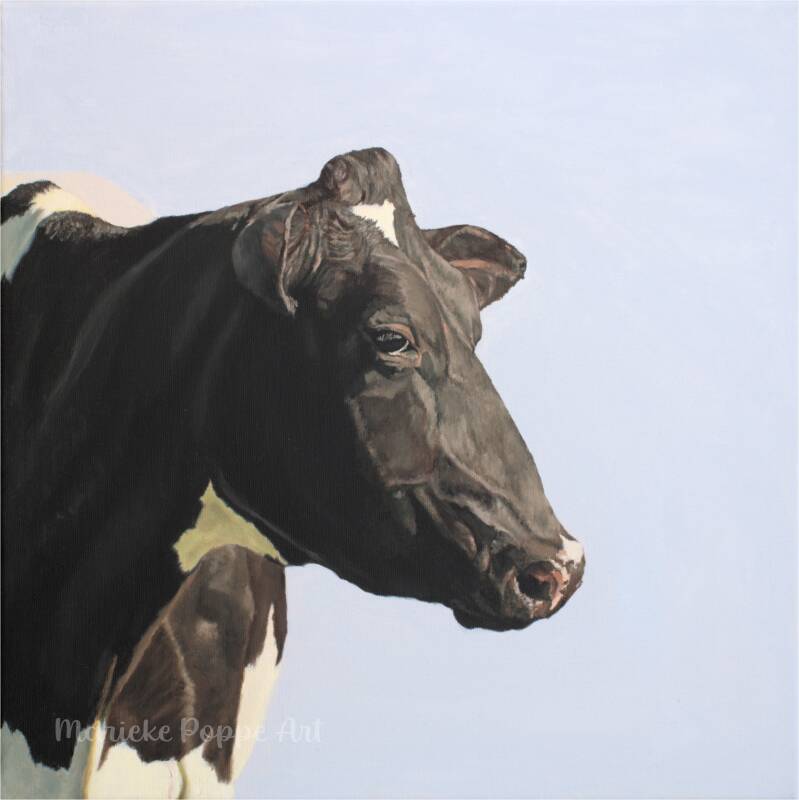 Realistisch koeienschilderij van een zwartbonte Holstein koe gemaakt door Marieke Poppe 