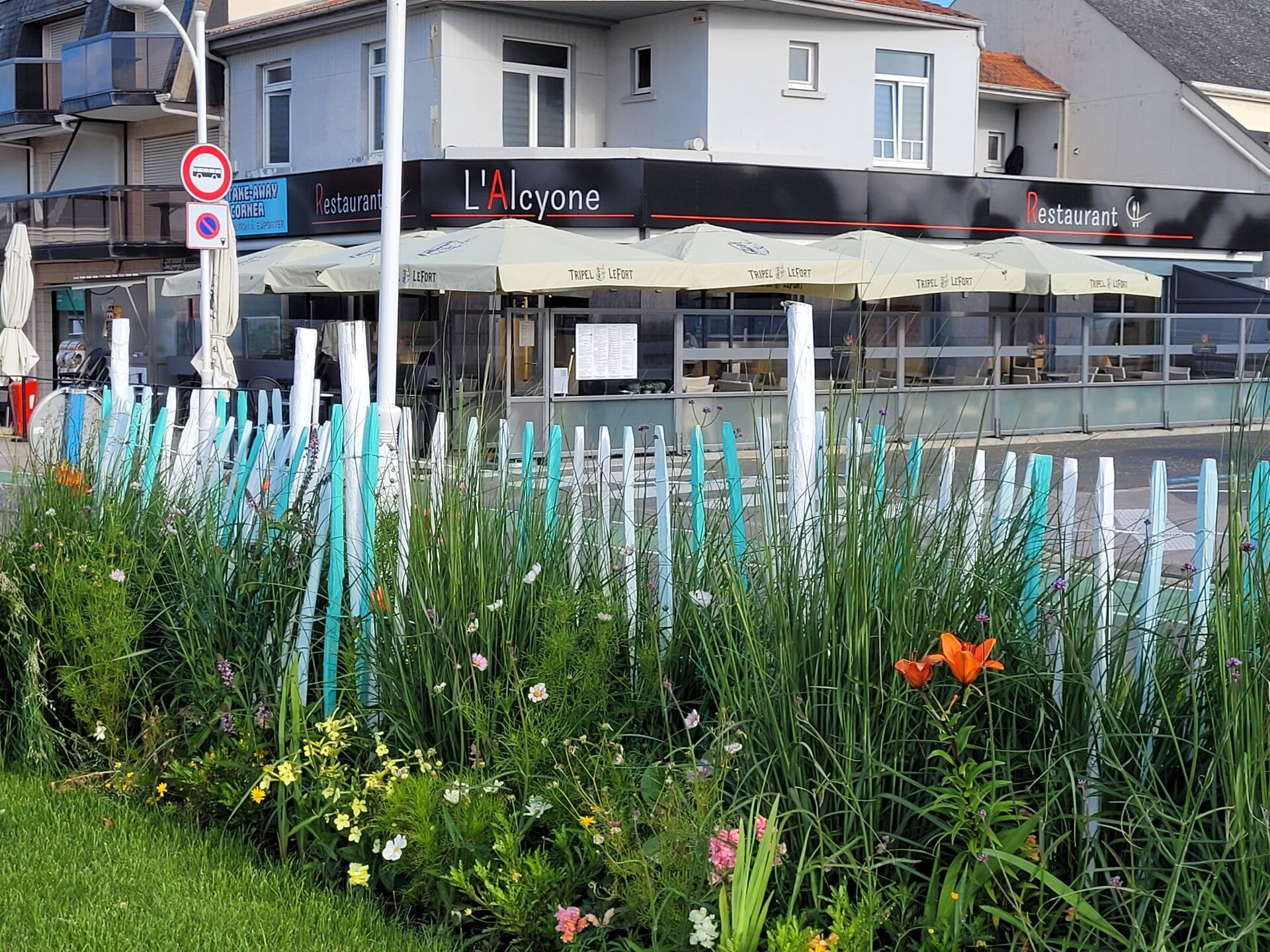 L'Alcyone à Fort-Mahon