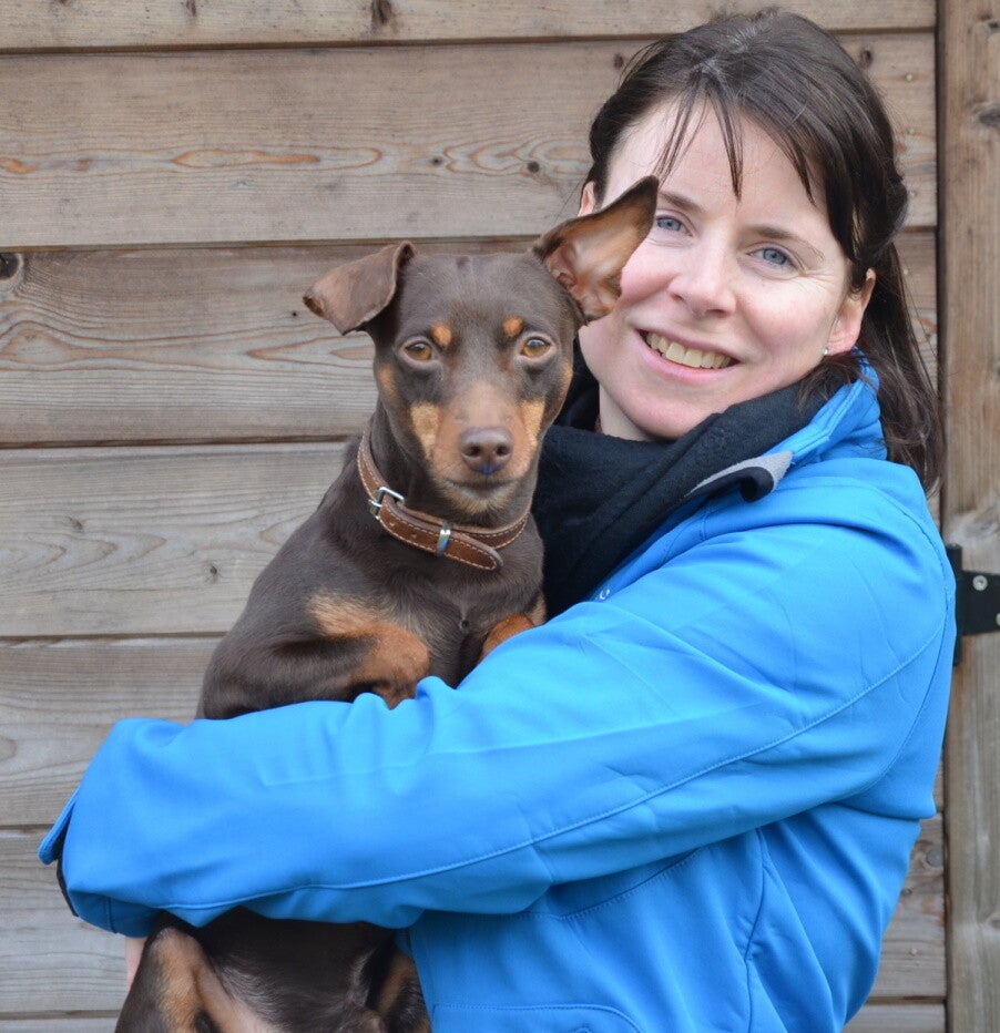 Private hondentraining in de hondenschool