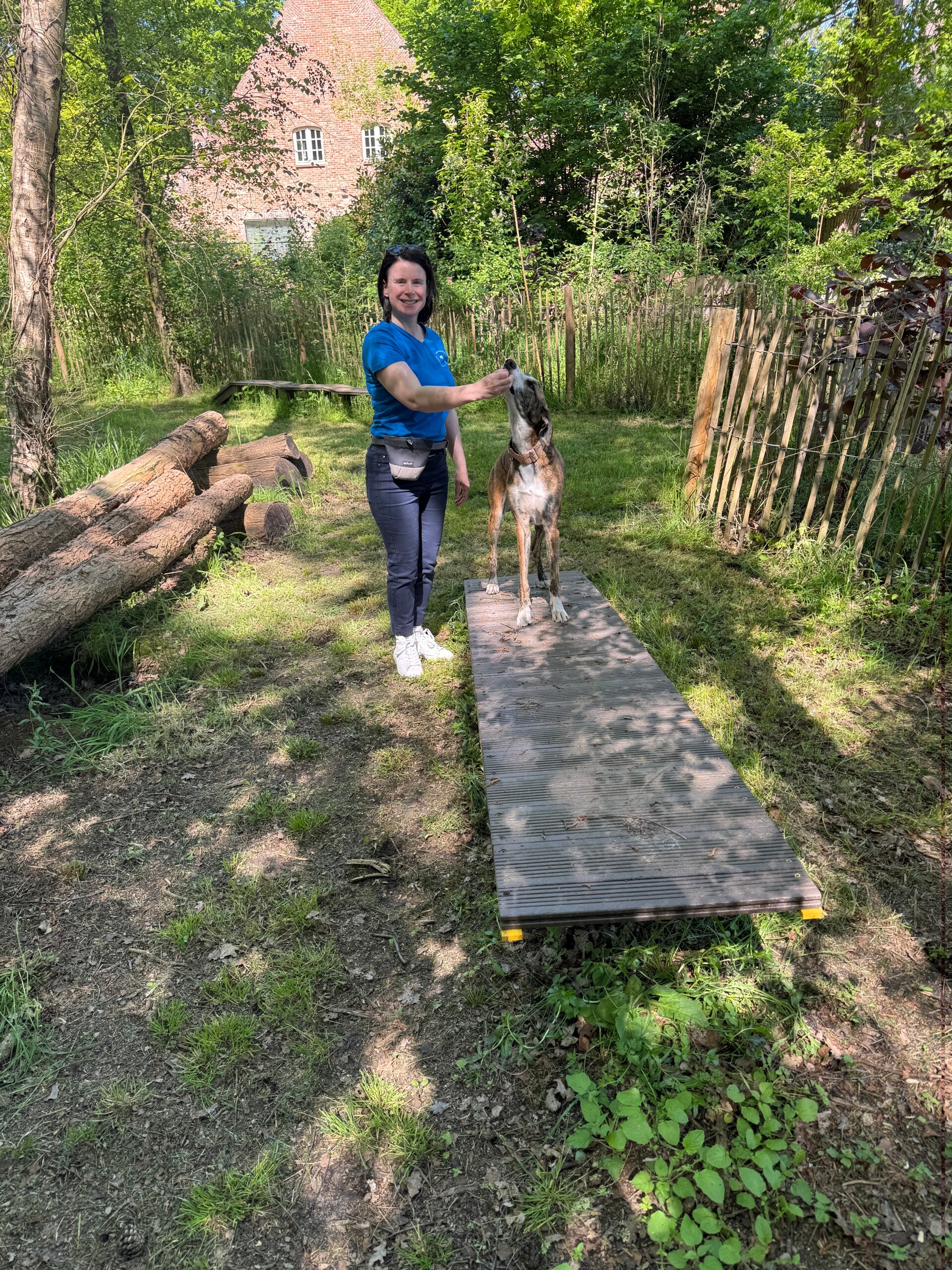 Hondentraining in de hondenschool