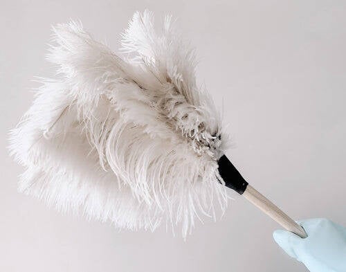 Extendable Duster