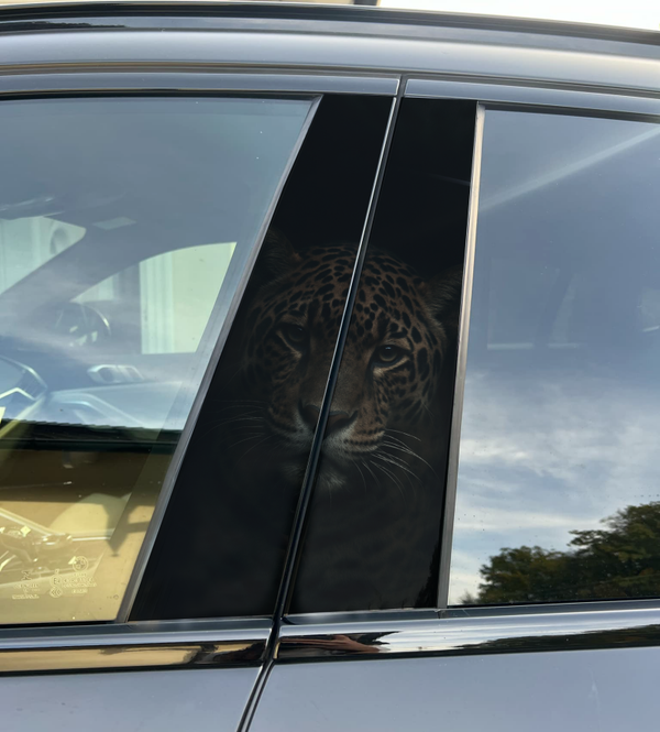 Premium Vinyl Car Pillar Wrap – Stylish & Durable B-Pillar Jaguar