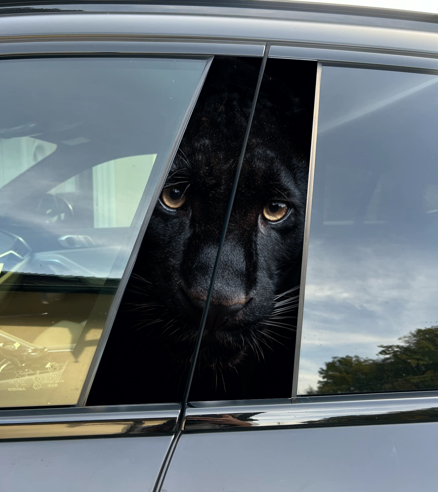 Premium Vinyl Car Pillar Wrap – Stylish & Durable B-Pillar Decal Panther