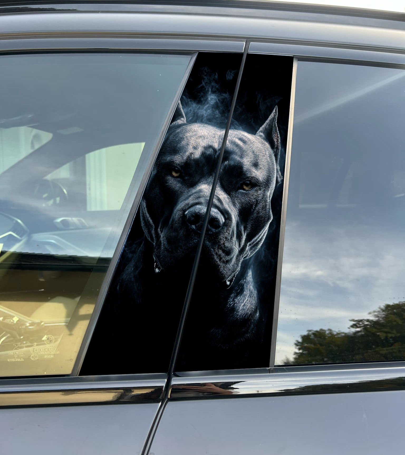 Premium Vinyl Car Pillar Wrap – Stylish & Durable B-Pillar Decal Pitbull