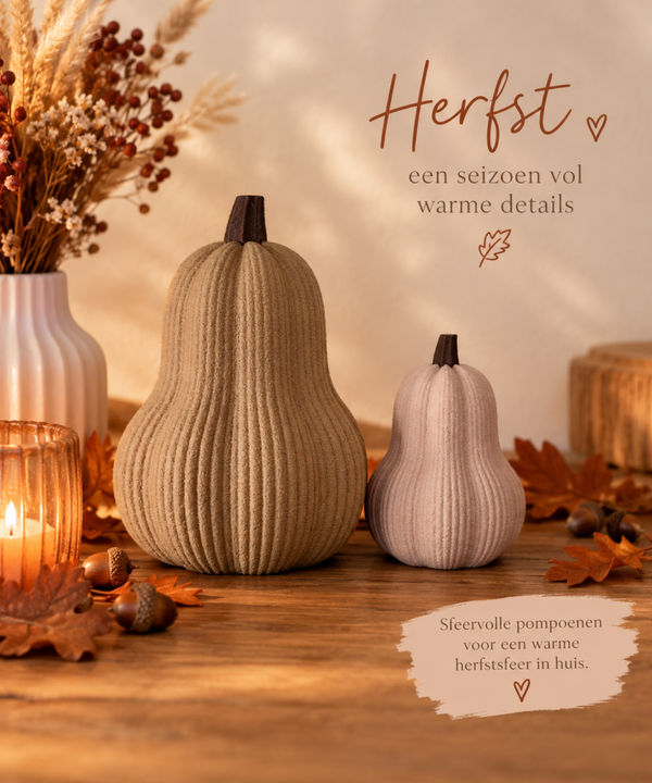 Set butternut