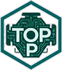Topdon scan and diagnostic ni