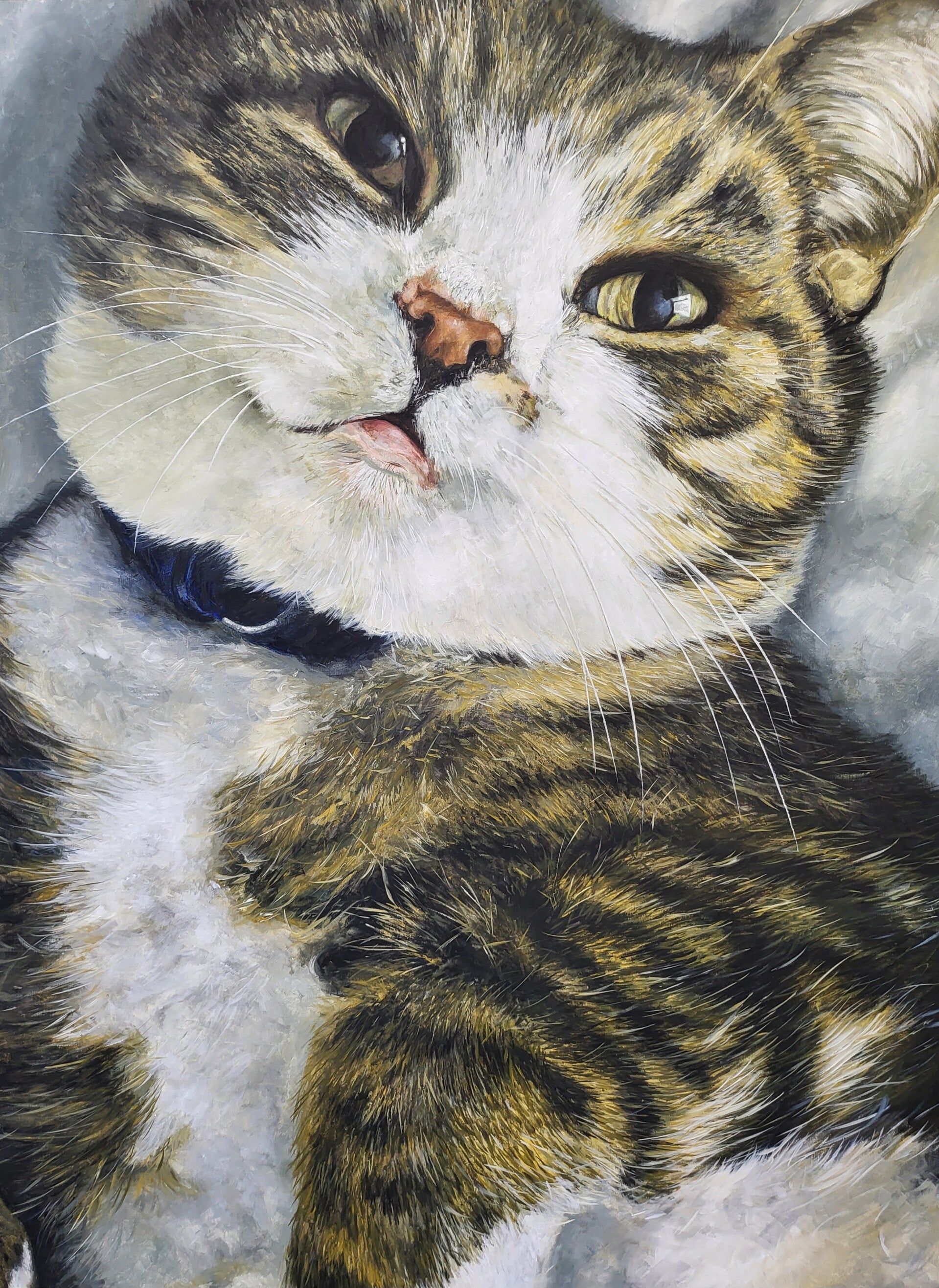 detailfoto- Kat groot formaat Opdrachtprijs op aanvraag 
