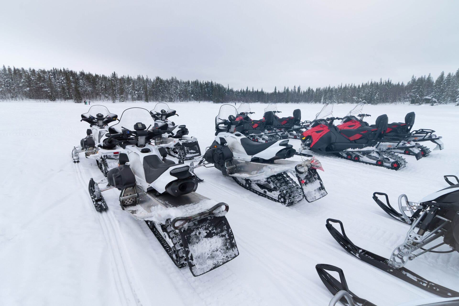 finlandreispandasneeuwscootersinlapland3.jpg