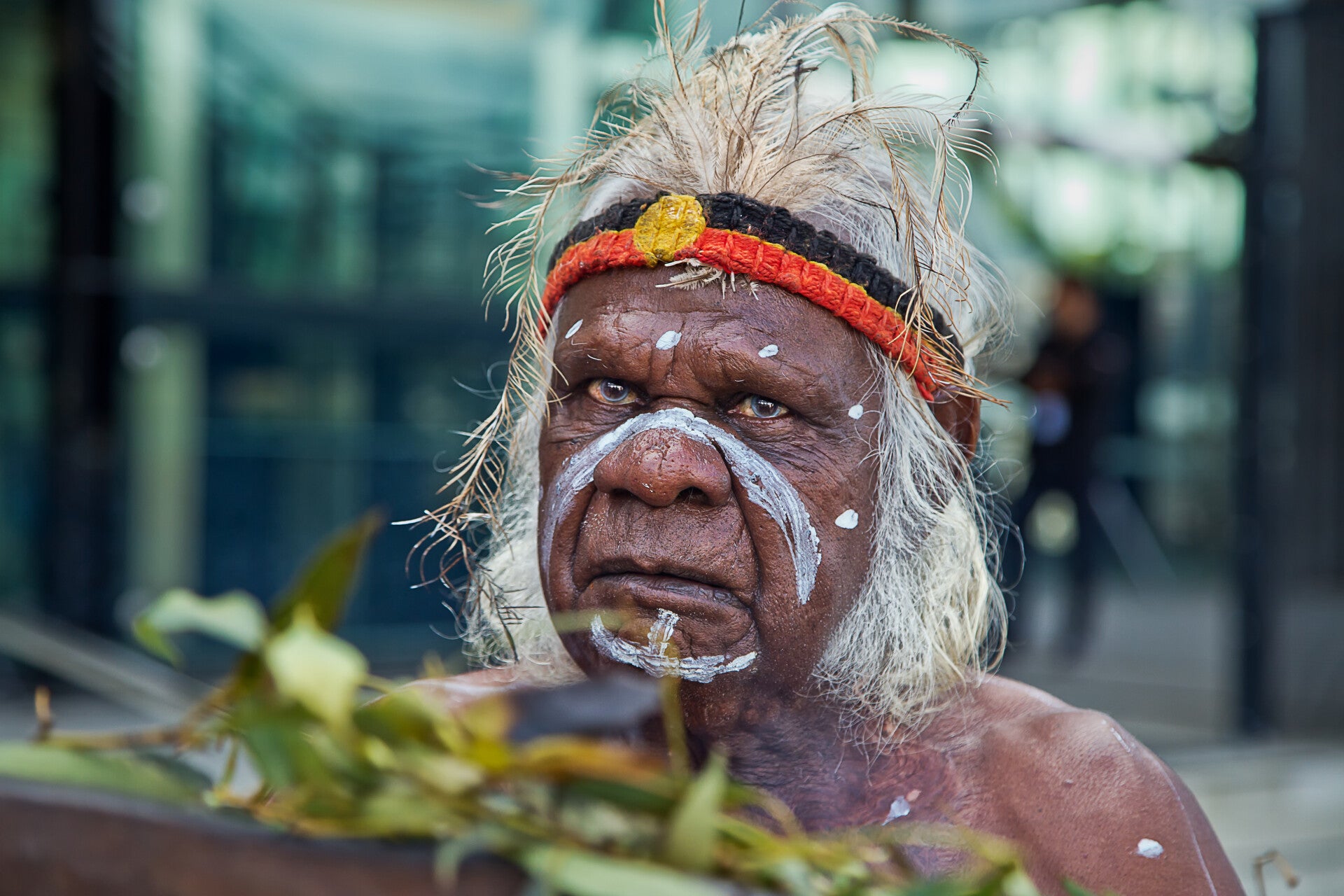 australiereispandaaustralianaborigine.jpg