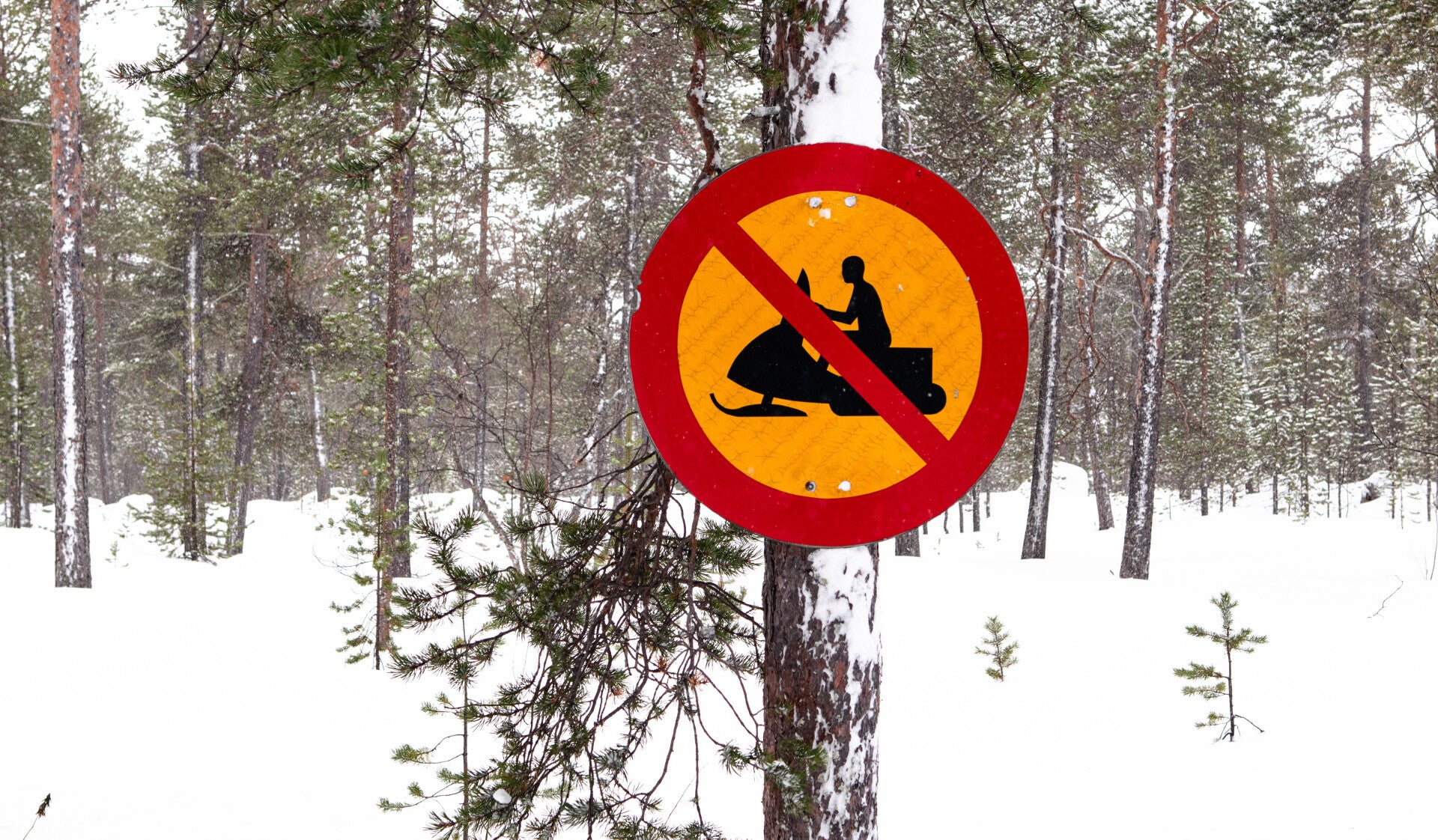 finlandreispandasneeuwscootersinlapland1.jpg