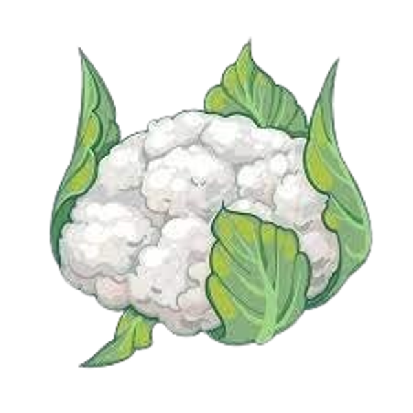 chou-fleur