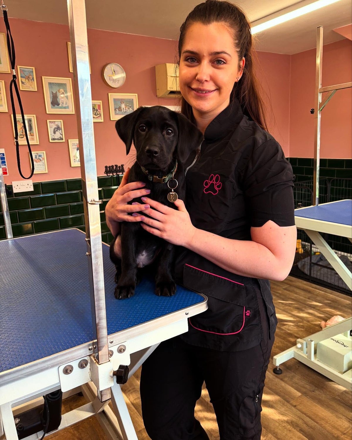 About Us | Tops N Tails Training Academy
