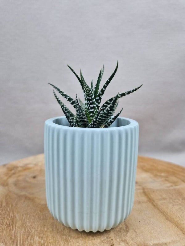 Home decor | Ribbelpotje