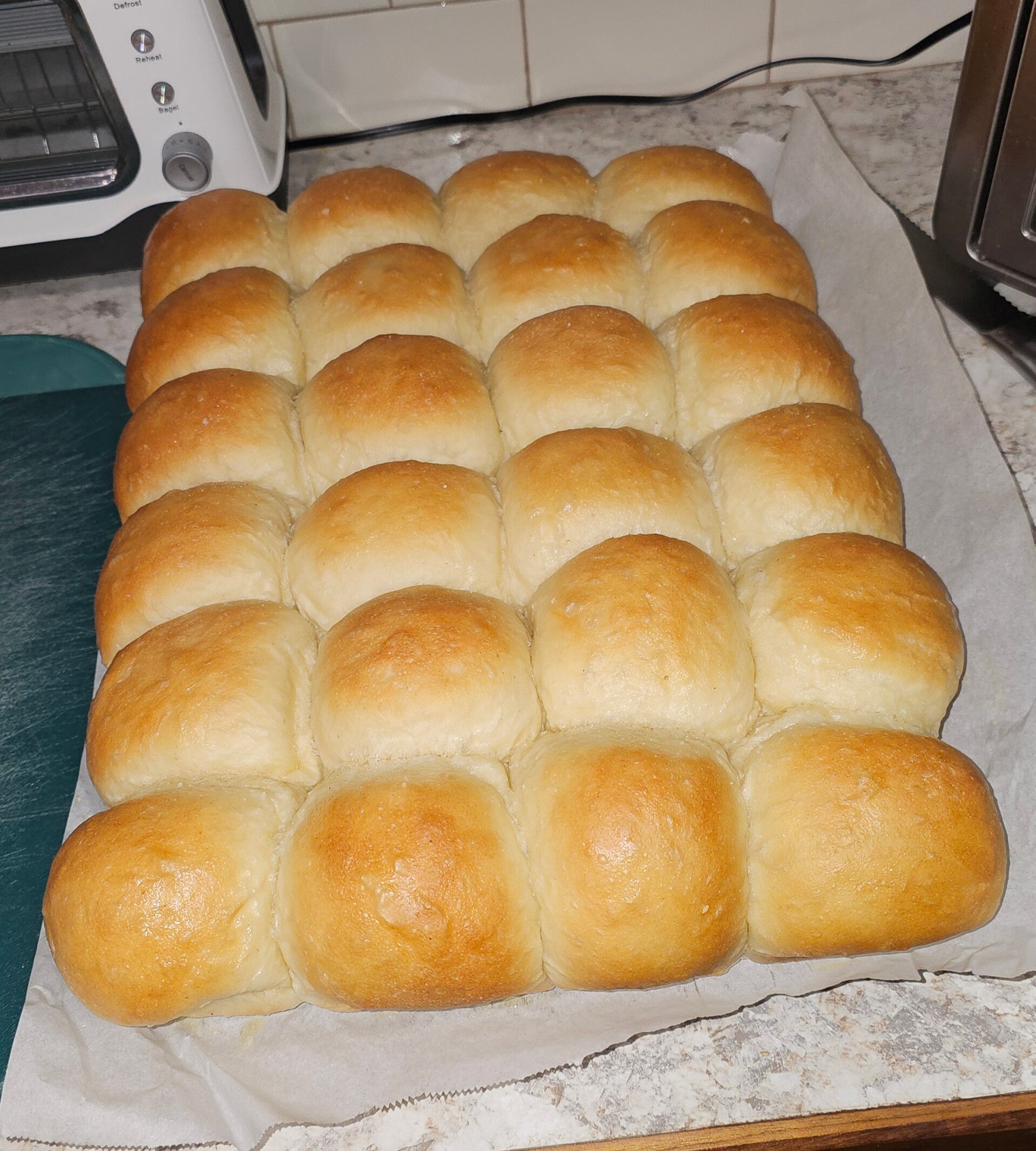 1 dozen Sourdough dinner rolls