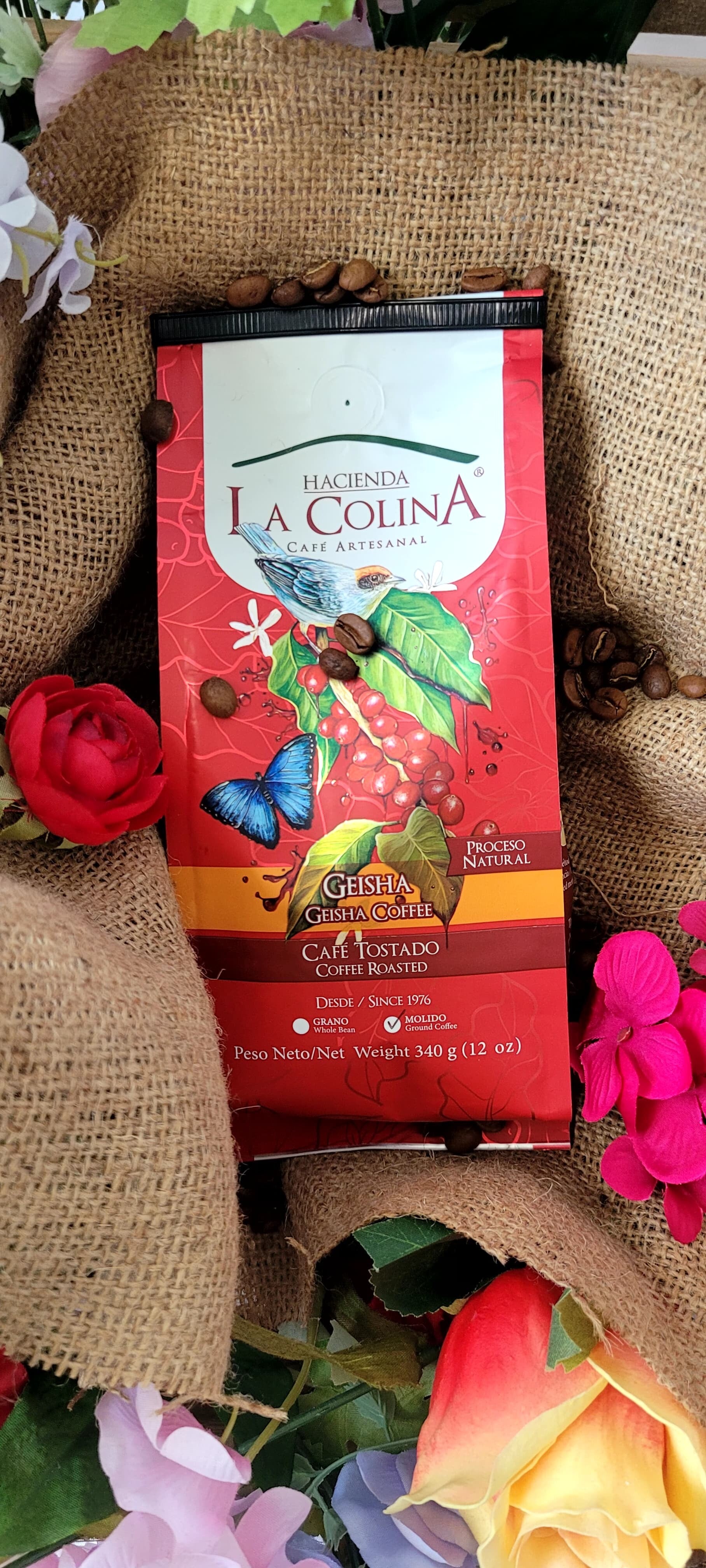 Geisha Coffe