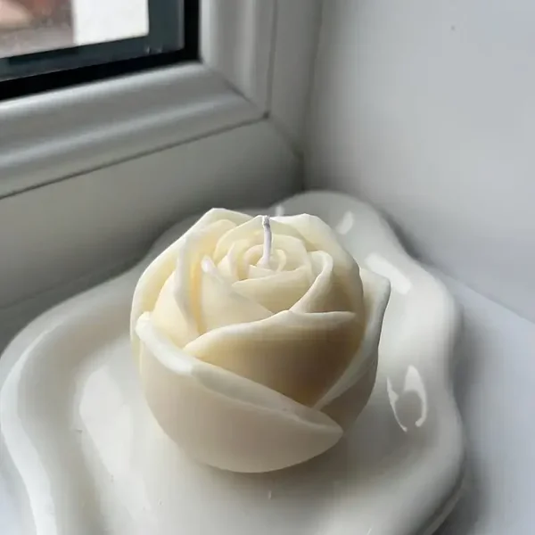 Rose Flower