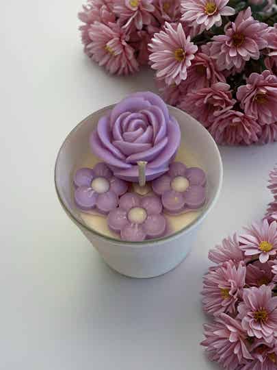 Purple Rose
