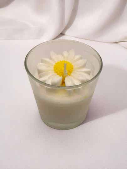 Daisy Flower White