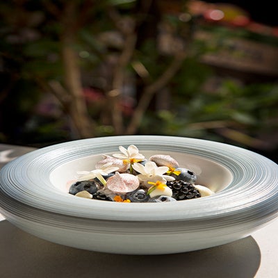 forrestfruitdelight-copy2-standard-zpc1gk.jpg