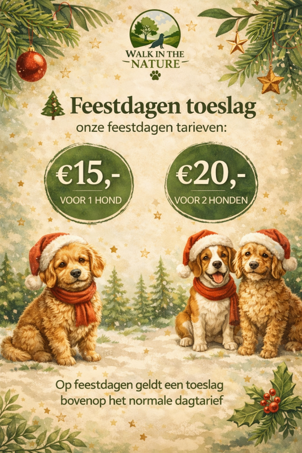 Feestdagen toeslag 1 hond