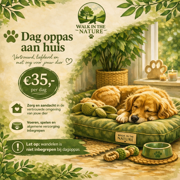 Dag oppas aan huis