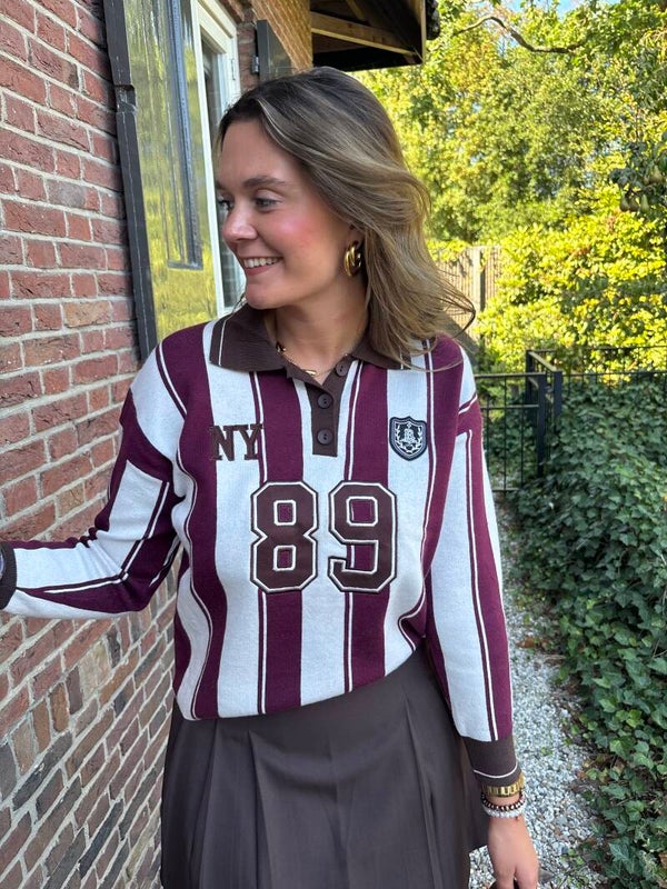 Bordeaux bruin trui