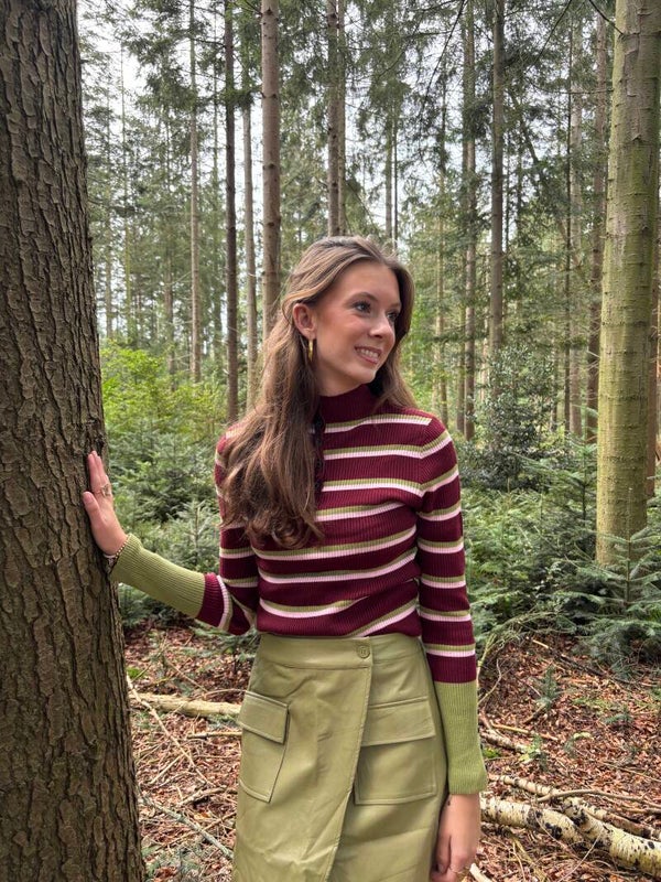 Burgundy green sweater