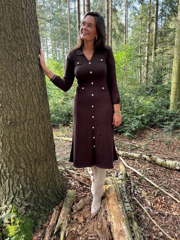 Brown chic dress