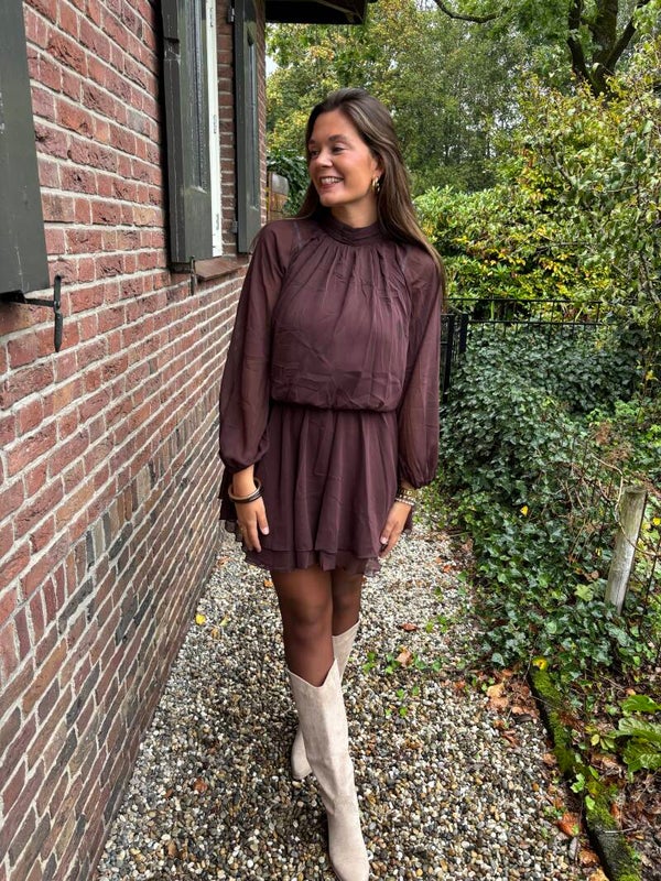 Brown Autumn dress
