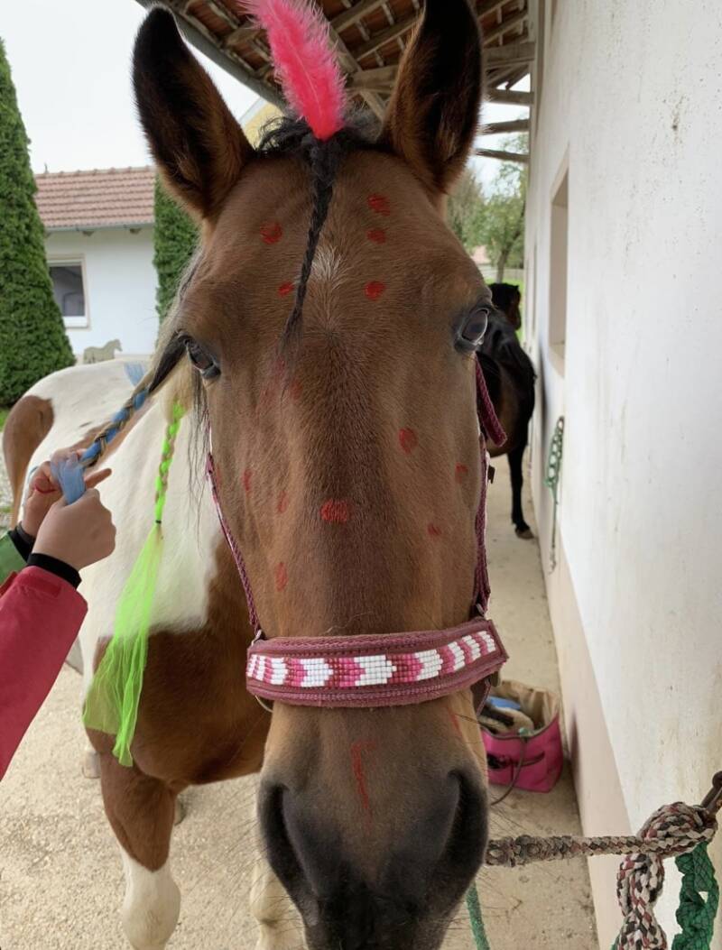 Kindergeburtstag mit Pferdemalen