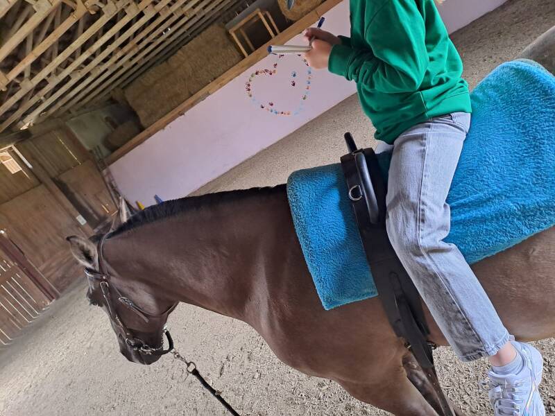 Reittherapie Landshut