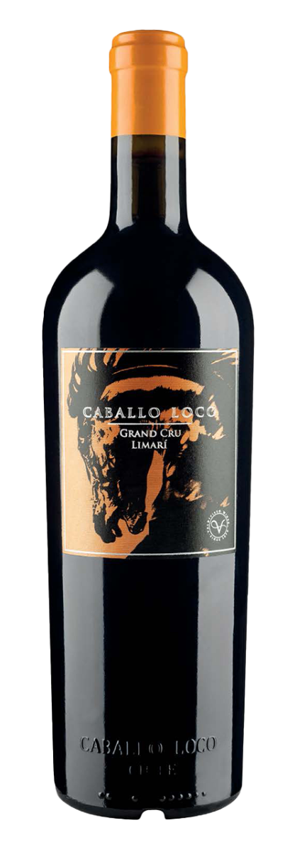 Caballo Loco – Grand Cru Limarí 2023