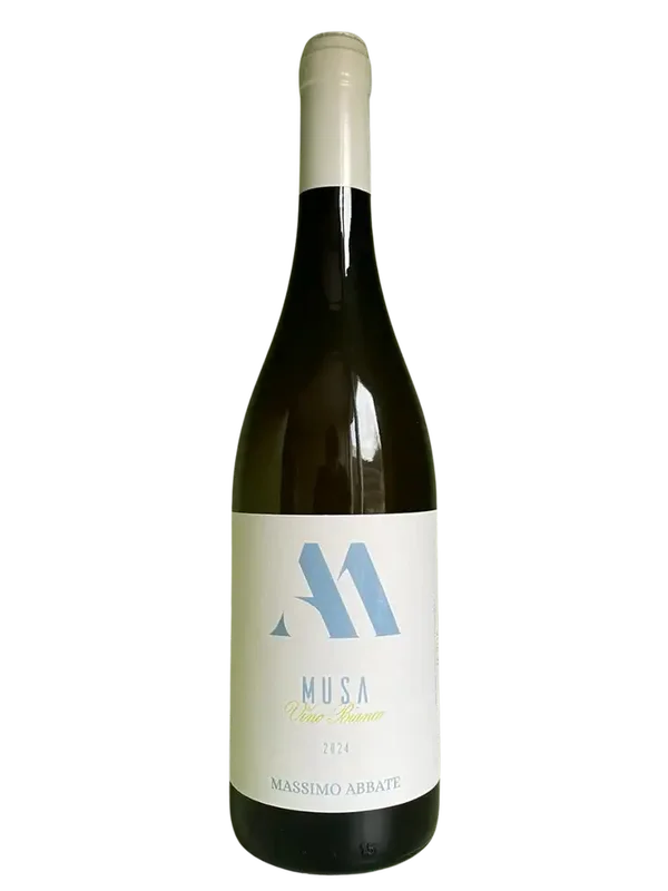 Massimo Abbate - Bianco Musa 2024