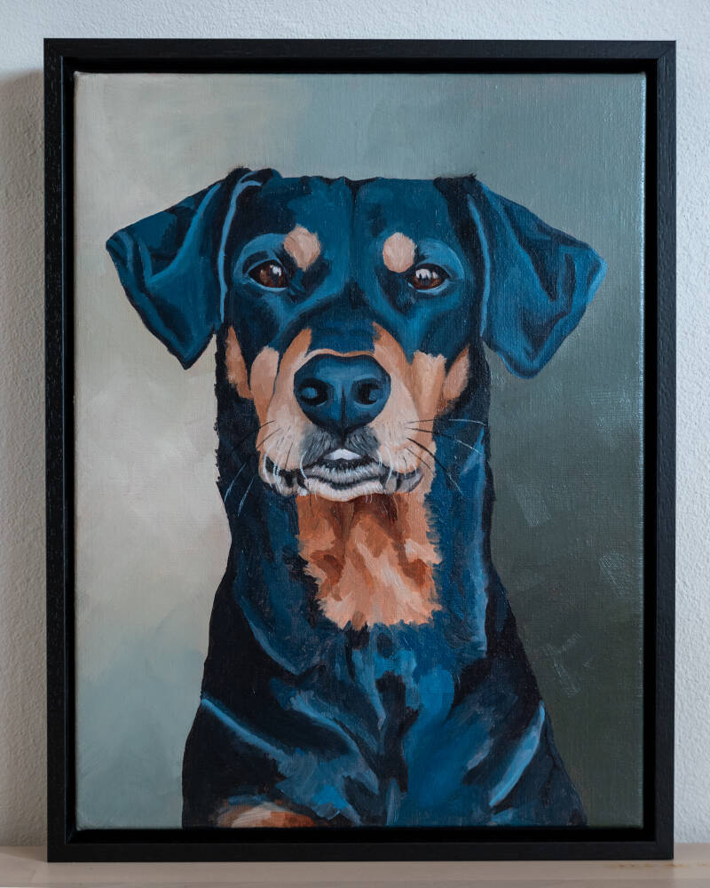 Dierenportret in opdracht