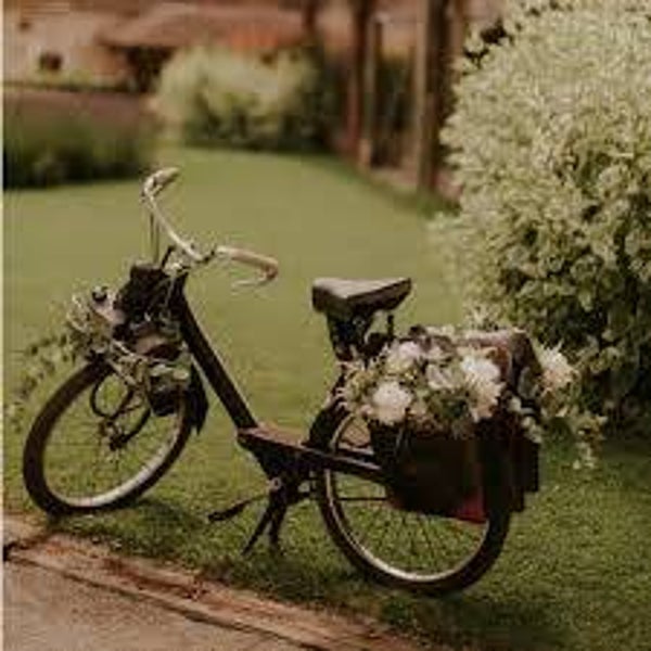 Solex