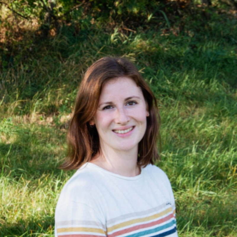 Dr. Katja Zauner