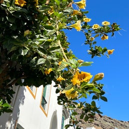 b47bf609-8d1d-4440-8e34-d6329d4efaad.jpeg