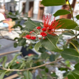 3a3b0985-8e5b-404a-ad68-2f90eac982e0.jpeg