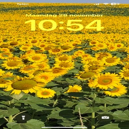 3eb3679c-8a88-4112-a047-c86816f09e16.jpeg