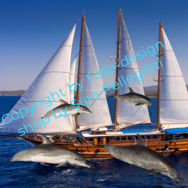 Beispiel eines Fotoporträts mit einem Schiff auf dem Meer und Delfinen ,die springen (Bunt)