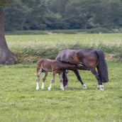 img_2465-standard.jpg