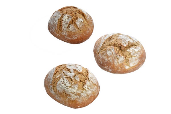 Sandwich Potatobrötchen