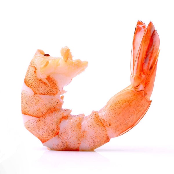 Partygarnelen mit Schwanzsegment 31/40 1 kg