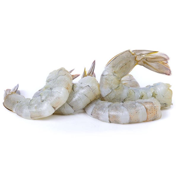 BT Garnelen geschält roh 21/25