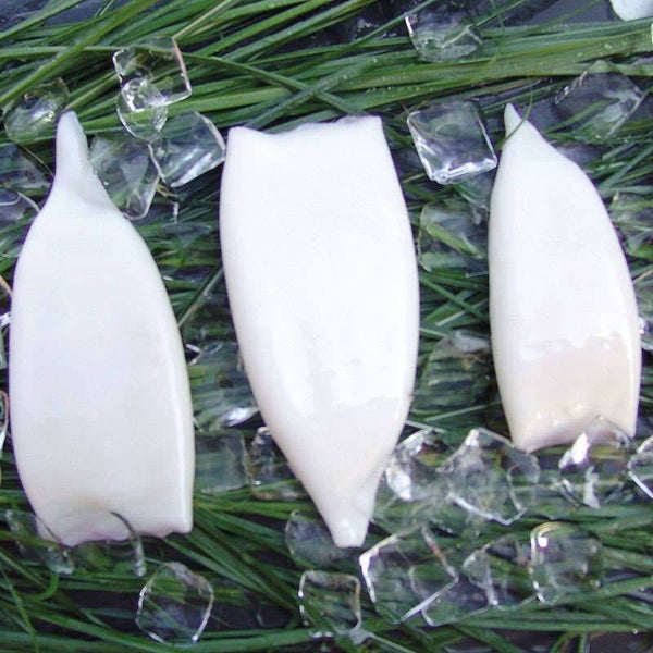 Calamari-Tuben ohne Kopf U/5