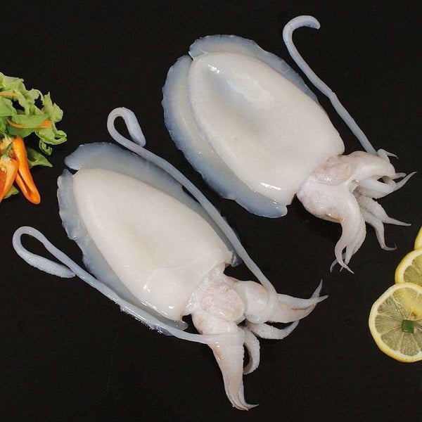 Sepien U/5 gereinigt mit Kopf + Tentakel